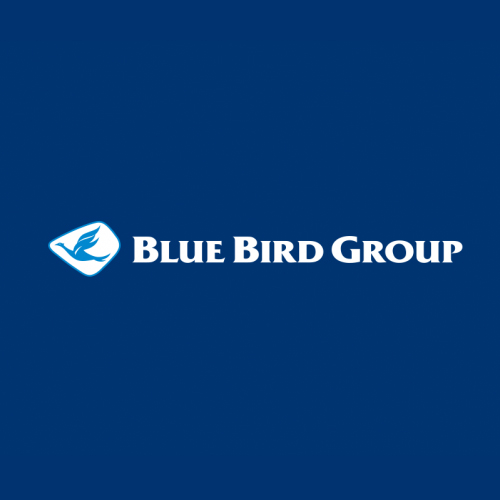 Blue Bird